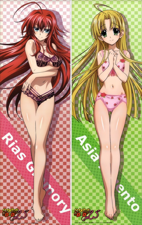 ハイスクールD×D リアス·グレモリー & アーシア・アルジェント 抱き枕カバー