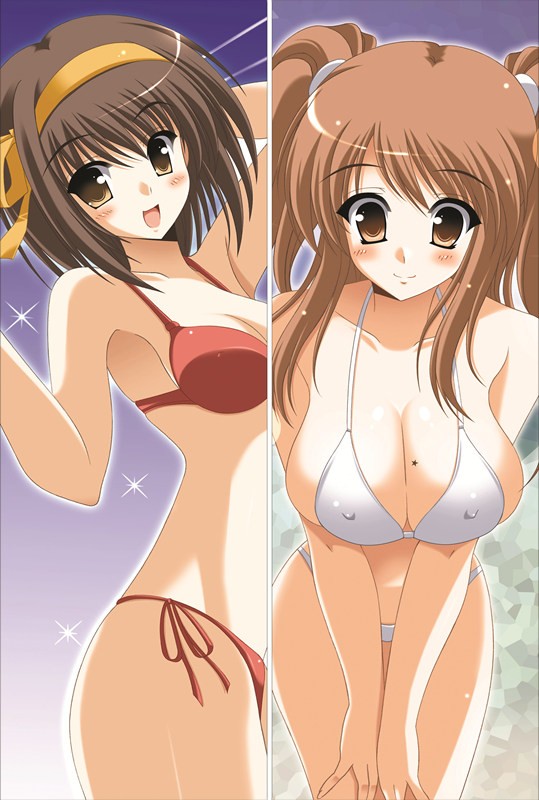 涼宮ハルヒの憂鬱 抱き枕カバー