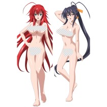 ハイスクールD×D 抱き枕カバー