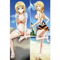 IS 〈インフィニット・ストラトス〉シャルロット·デュノア 抱き枕カバー