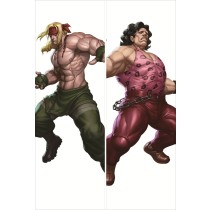 ストリートファイター Street Fighter 抱き枕カバー