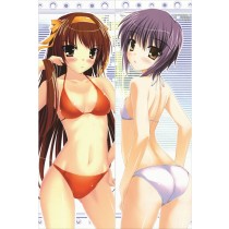 涼宮ハルヒの憂鬱 抱き枕カバー