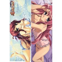 恋姫†無双 〜ドキッ☆乙女だらけの三国志演義 抱き枕カバー